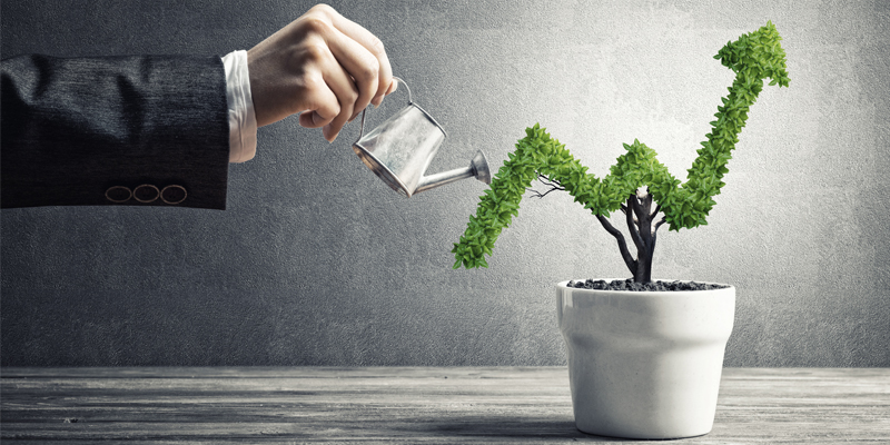 Strategies For Growing Your Email and Text Message Lists